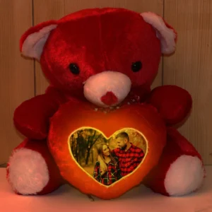 Teddy Bear With Photo